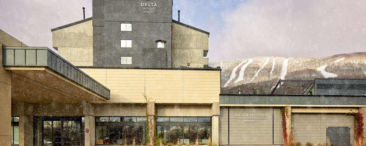 Hotel facade with mountain view coverred in show