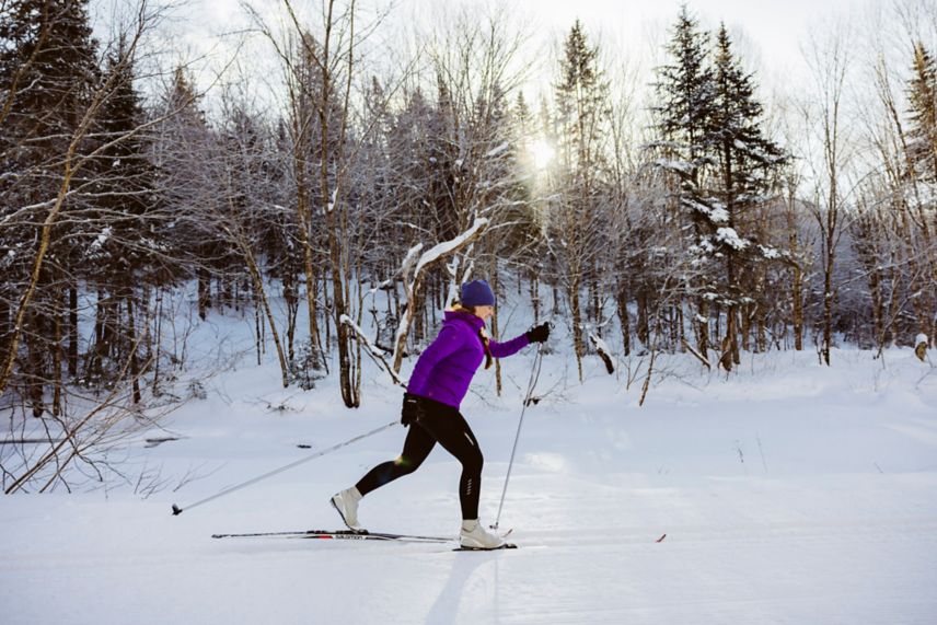 Cross-country skiing in the beautiful forest