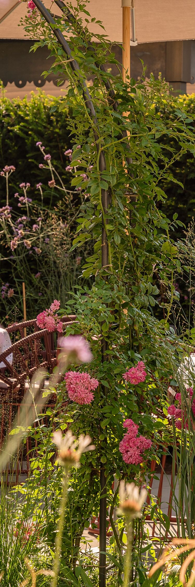 Tische, Stühle und Sonnenschirme in einem Garten