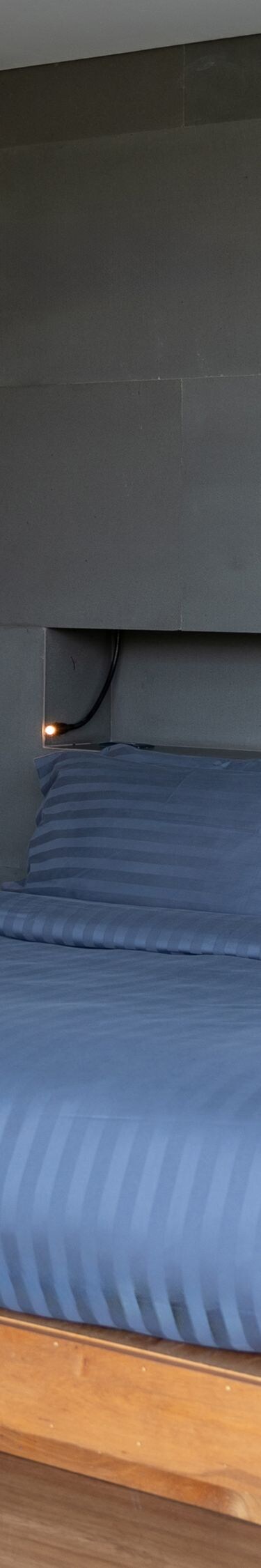 Bedroom with dark gray accent wall, blue bedding