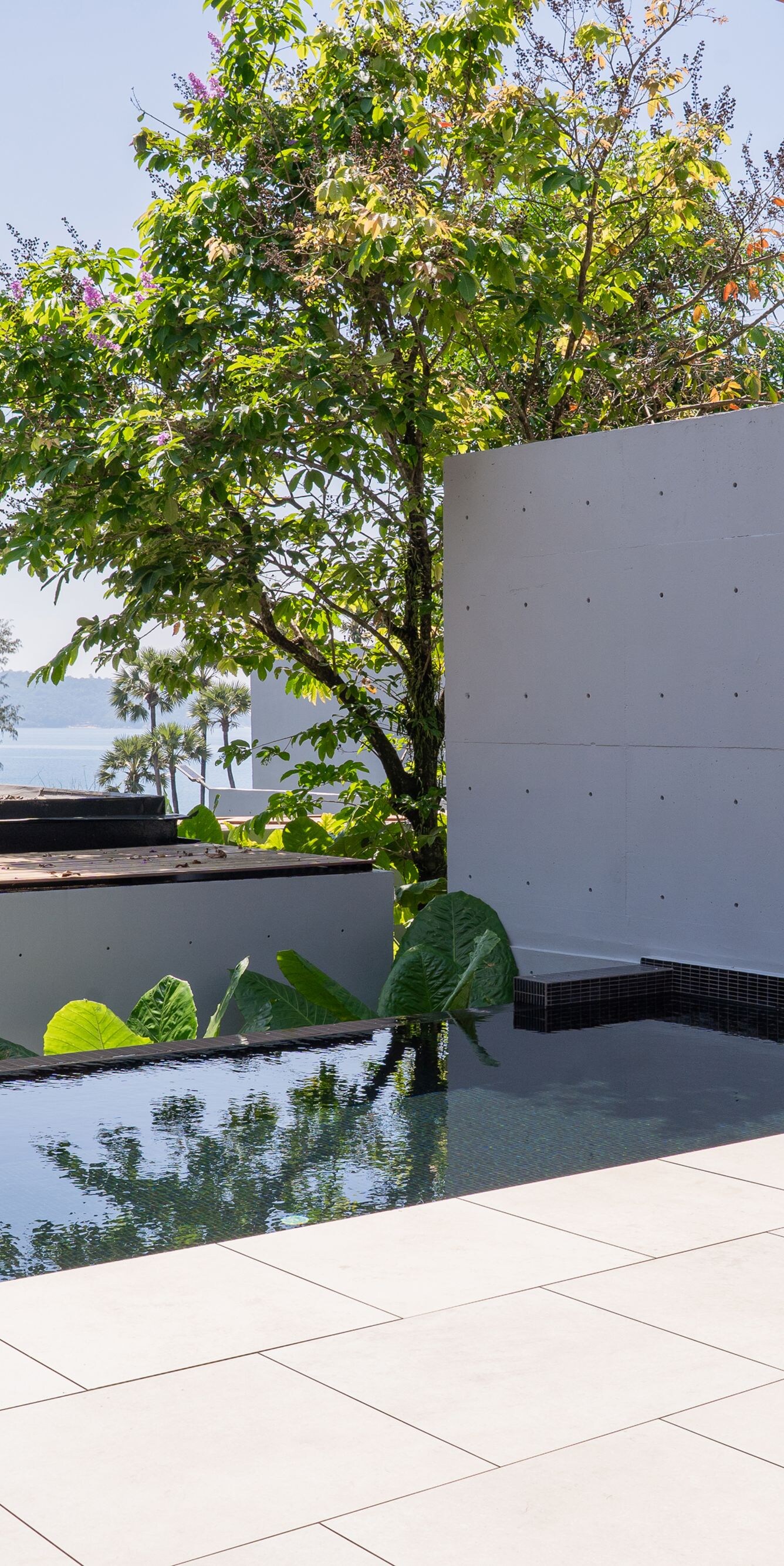 Outdoor pool with lounge chairs and ocean view