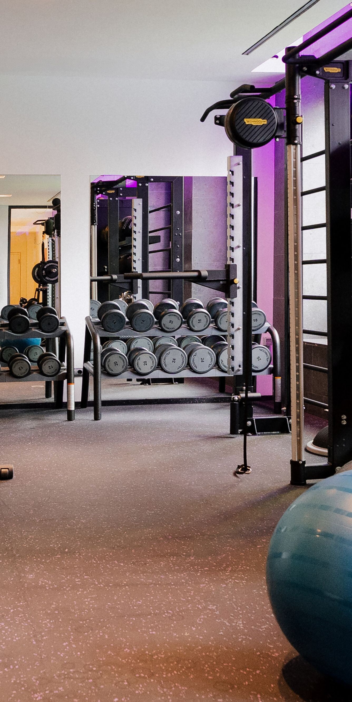 Pesas del gimnasio