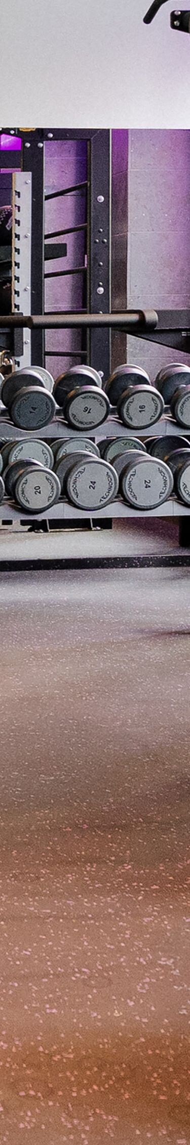 Gimnasio con pesas y equipo