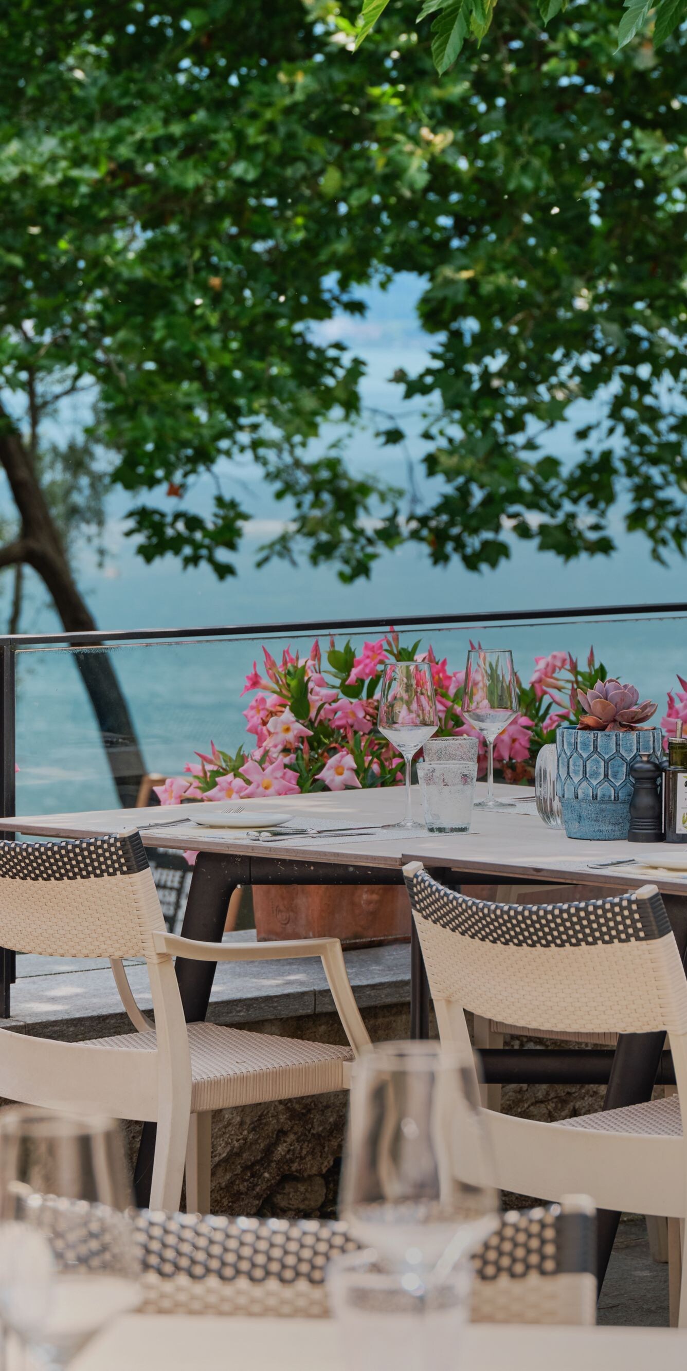 Restaurant Terrace
