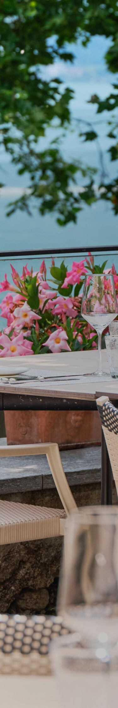 Restaurant Terrace