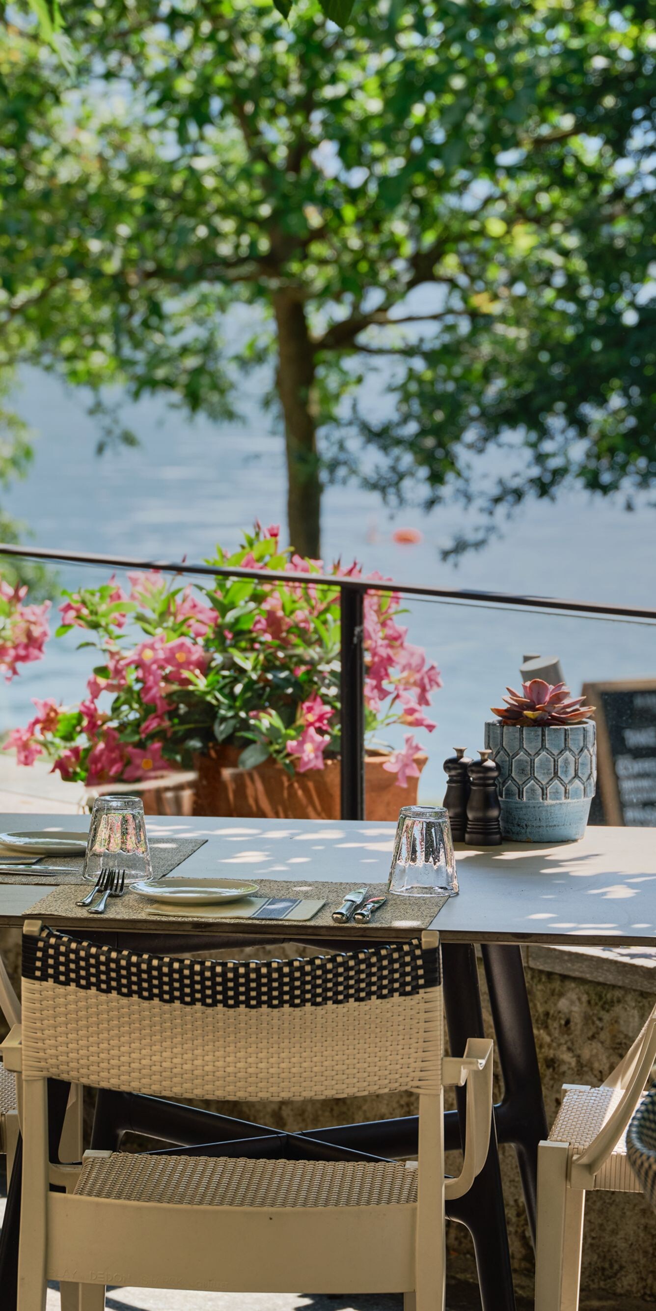 Restaurant Terrace
