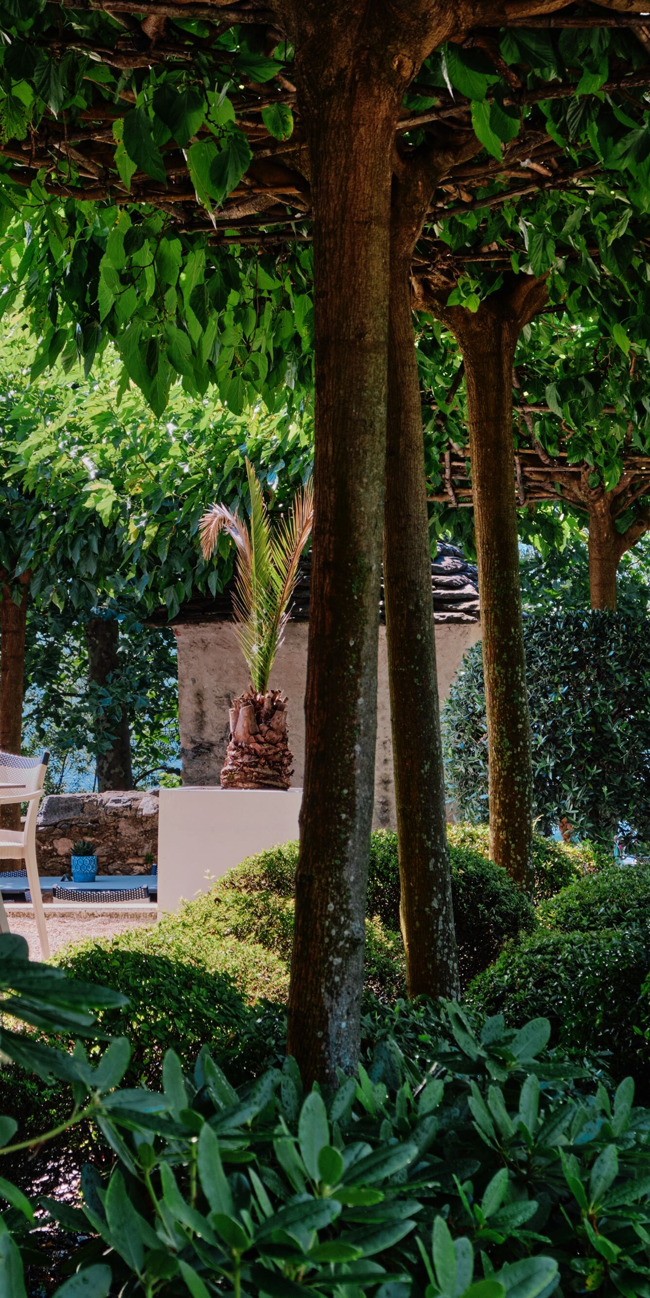 Restaurant Terrace