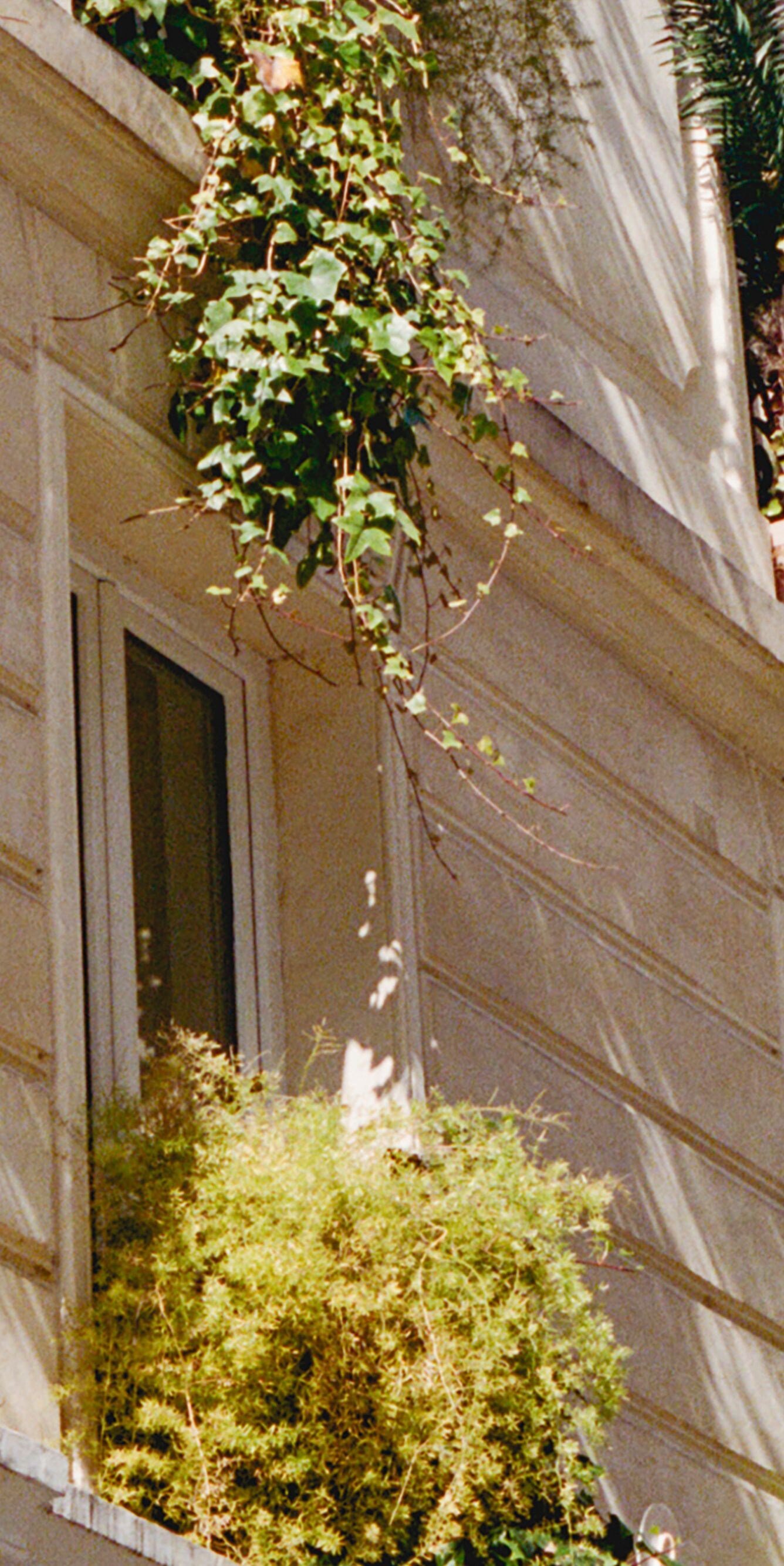 Facade view