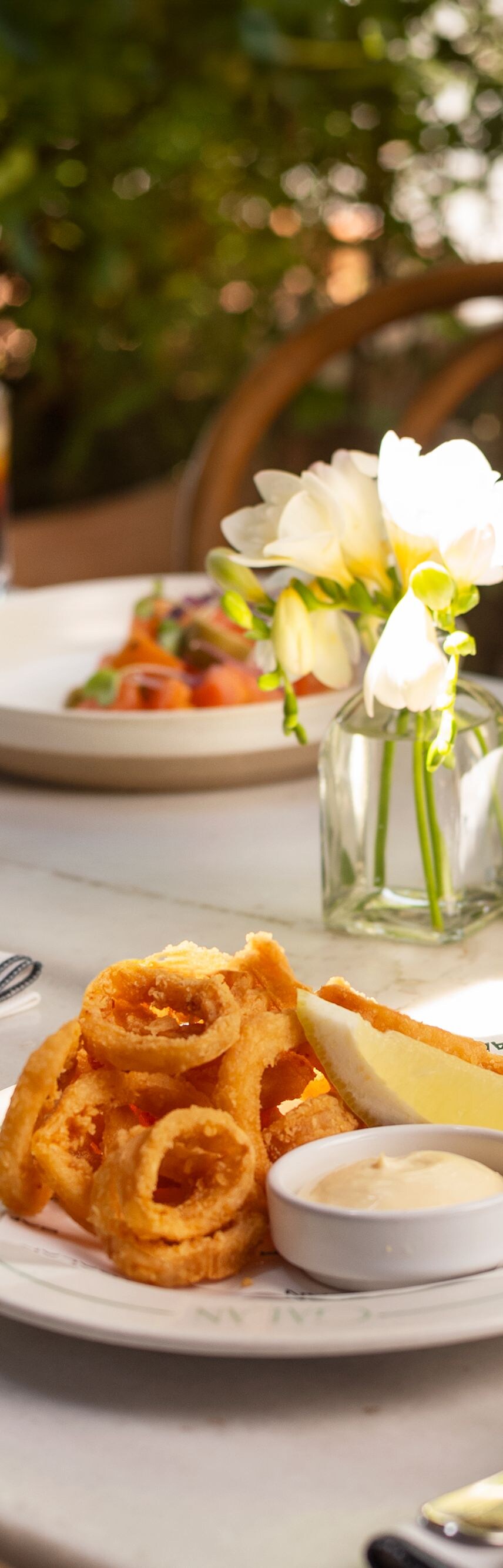 Calamari and Vermouth