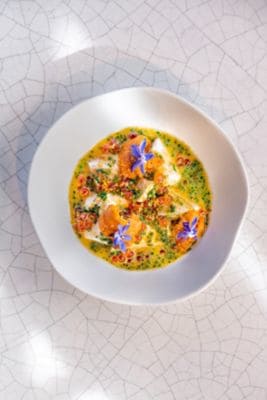 Dish with celeriac, sea urchin and bottarga