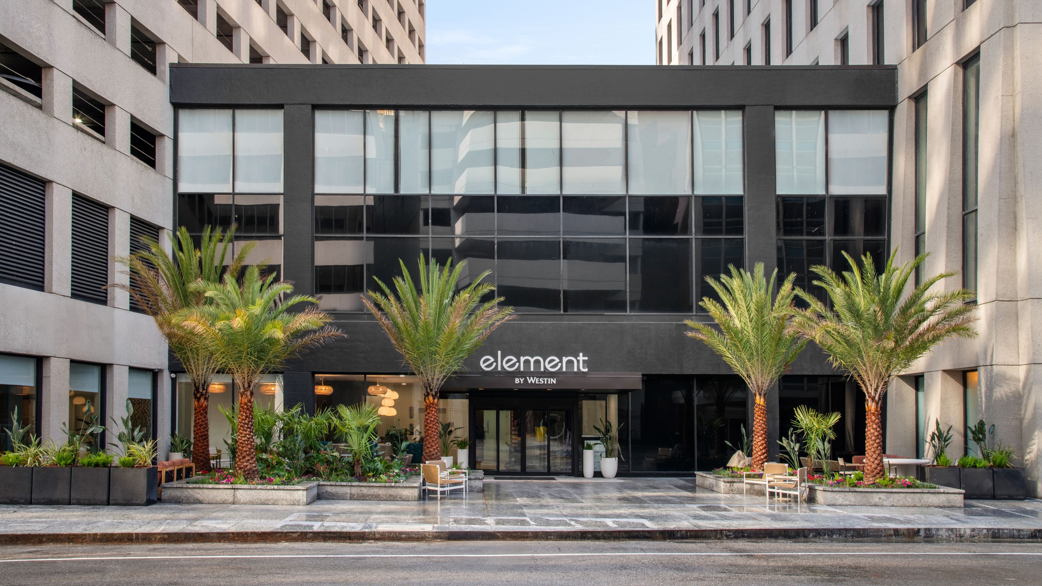 Discover New Orleans