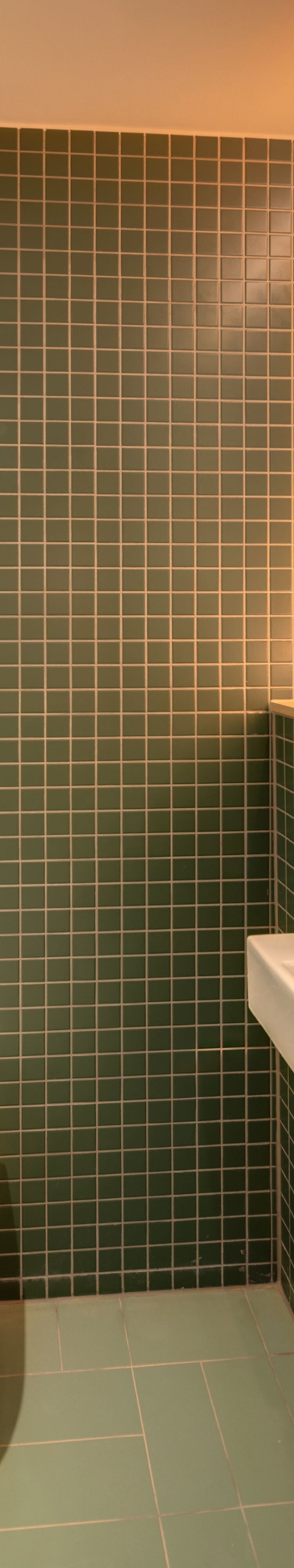 Premium Guest Room Bathroom