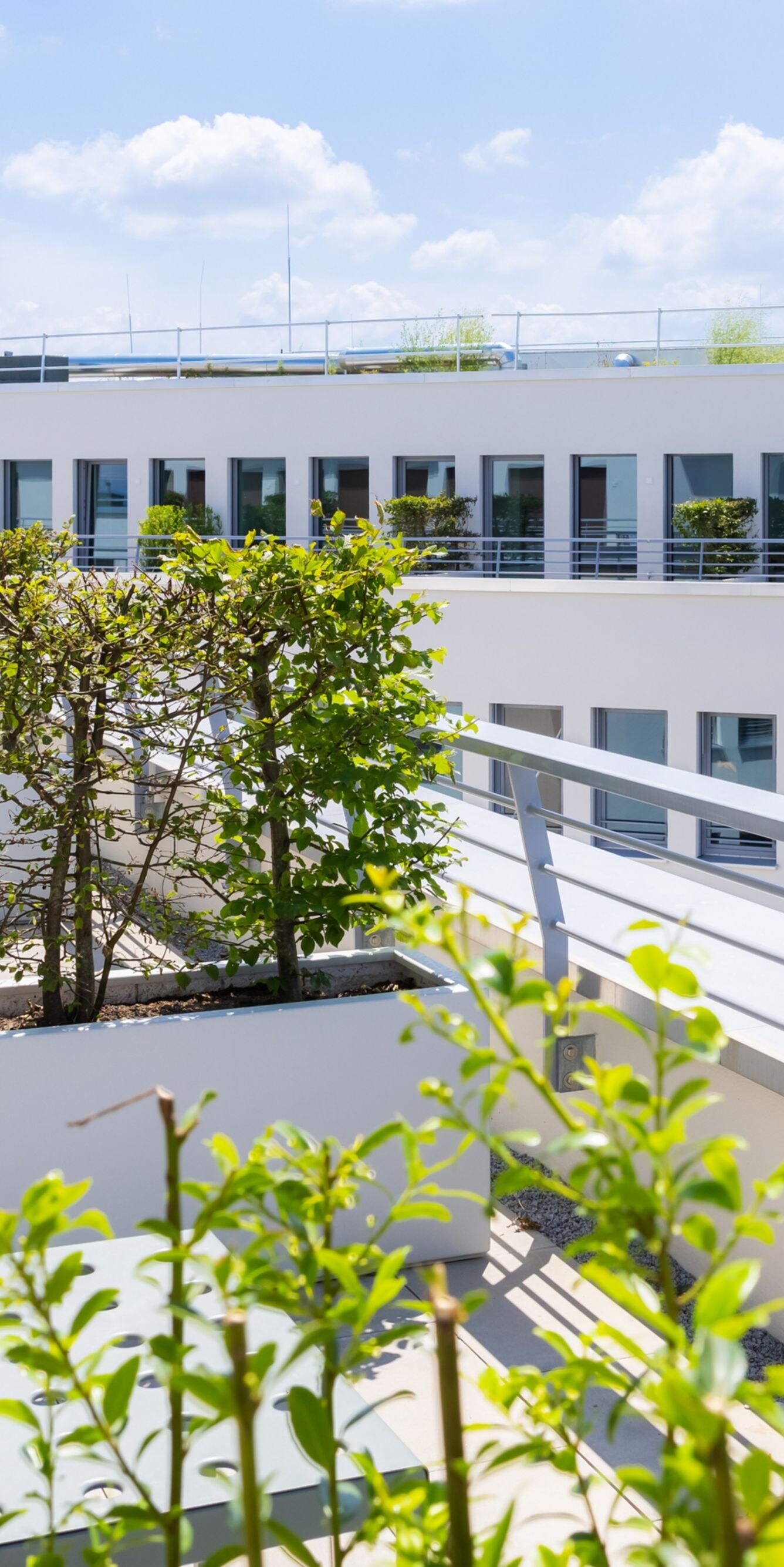 Hotel Terrace View