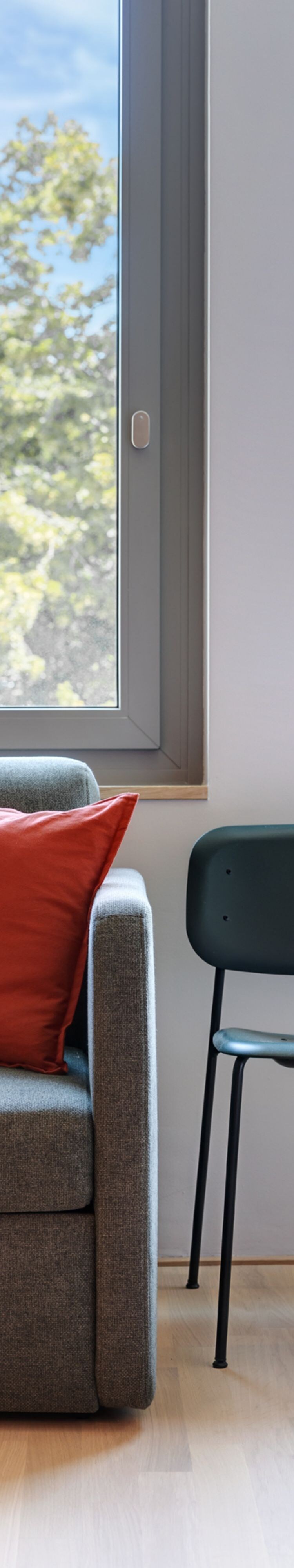 Superior Studio Queen with Sofa Bed