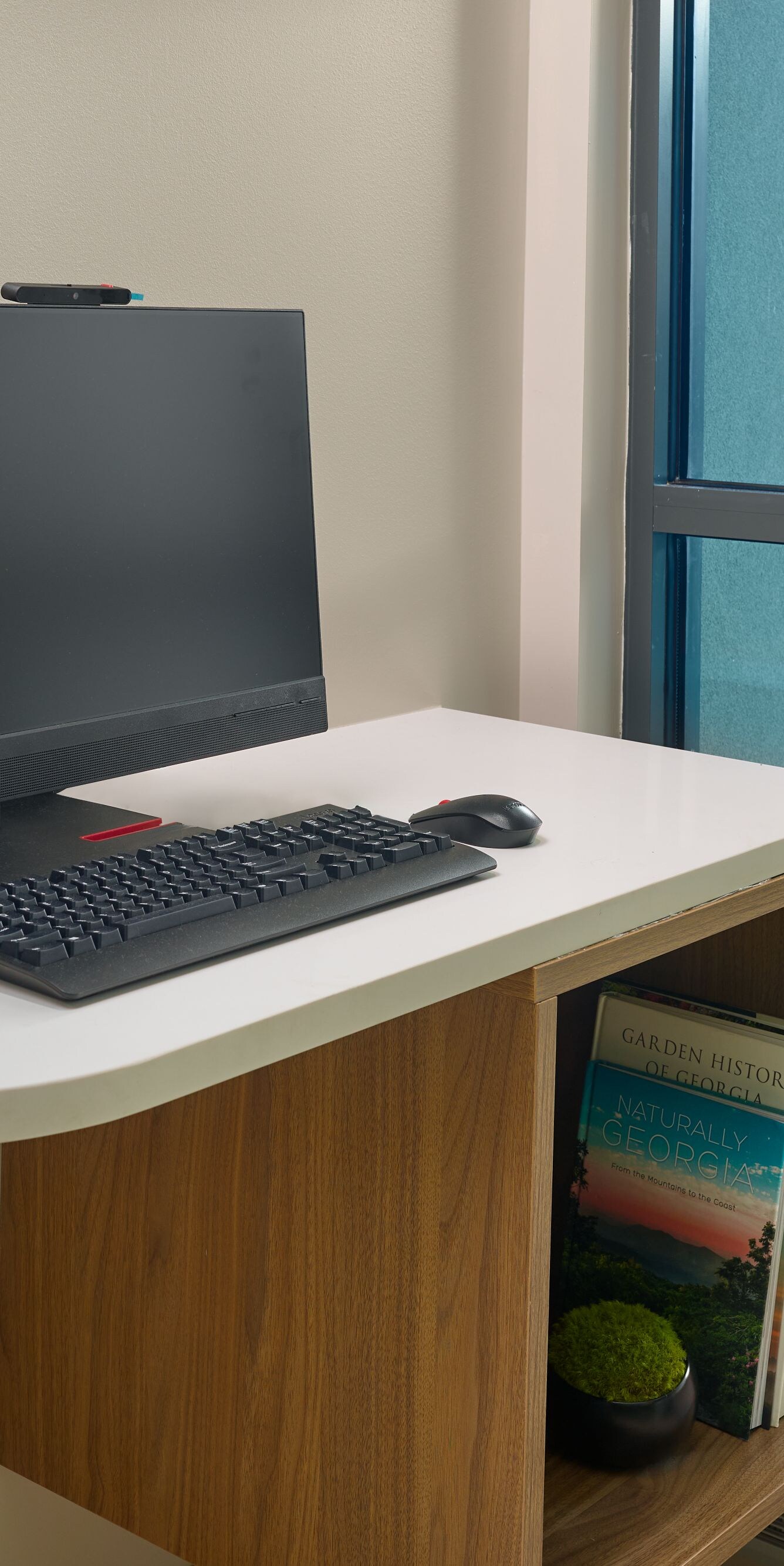 Monitor, keyboard and mouse, small plant, window