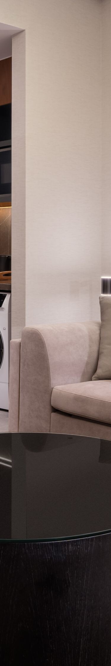 Suite living area with kitchen and sofa