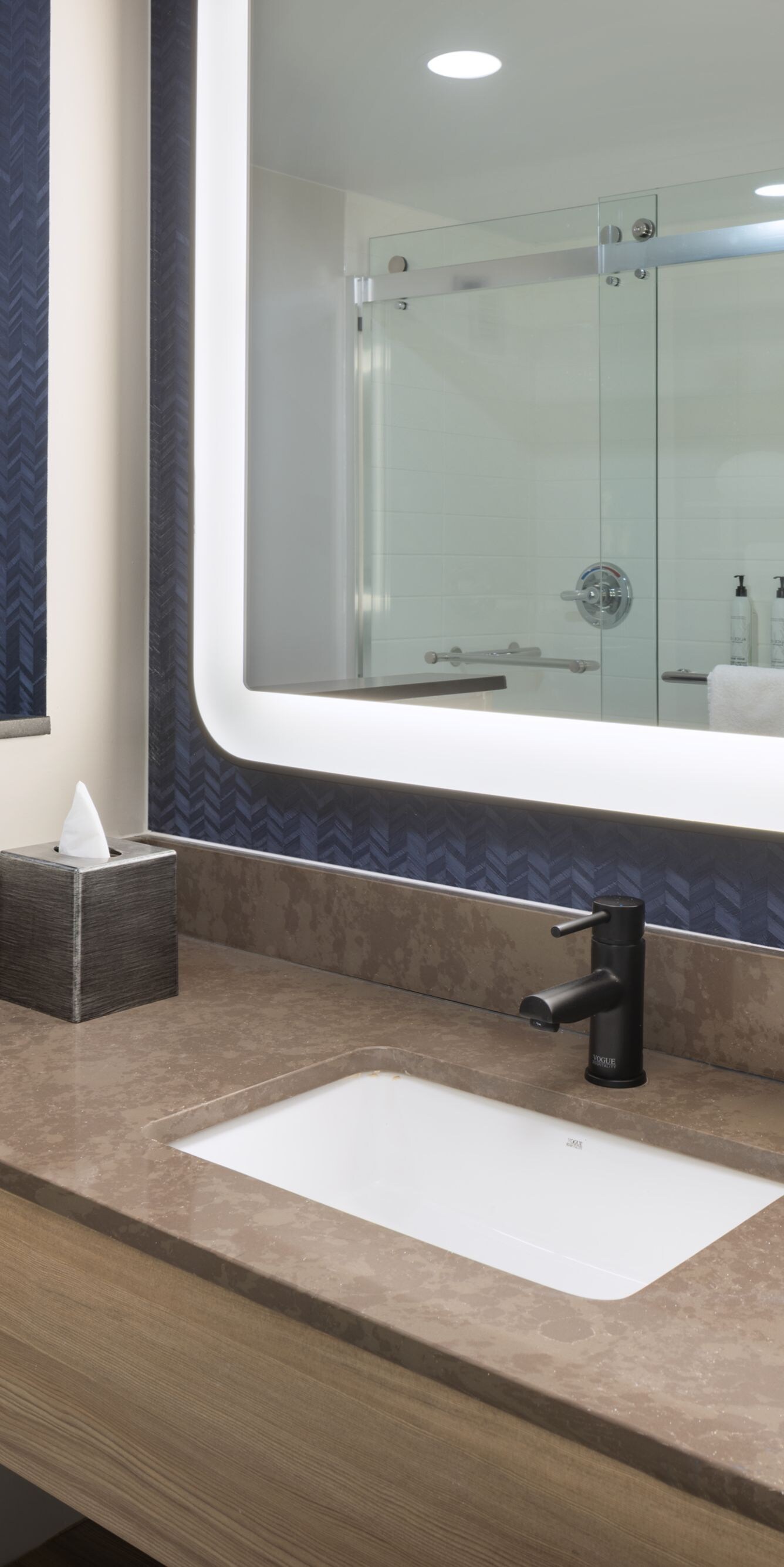 Guest bathroom vanity and shower