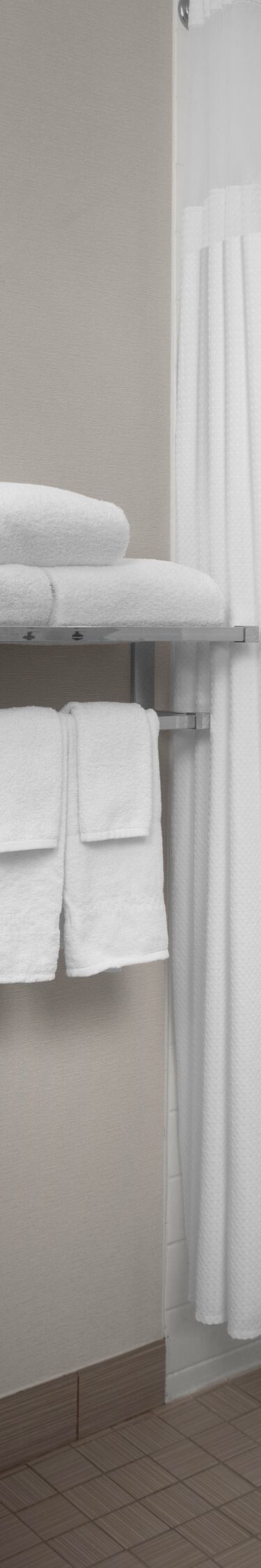 Accessible bathroom with roll-in shower