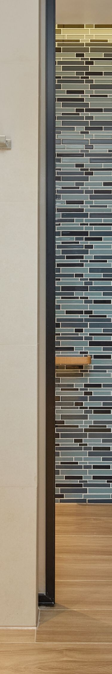 Guest Bathroom - Walk-in Shower