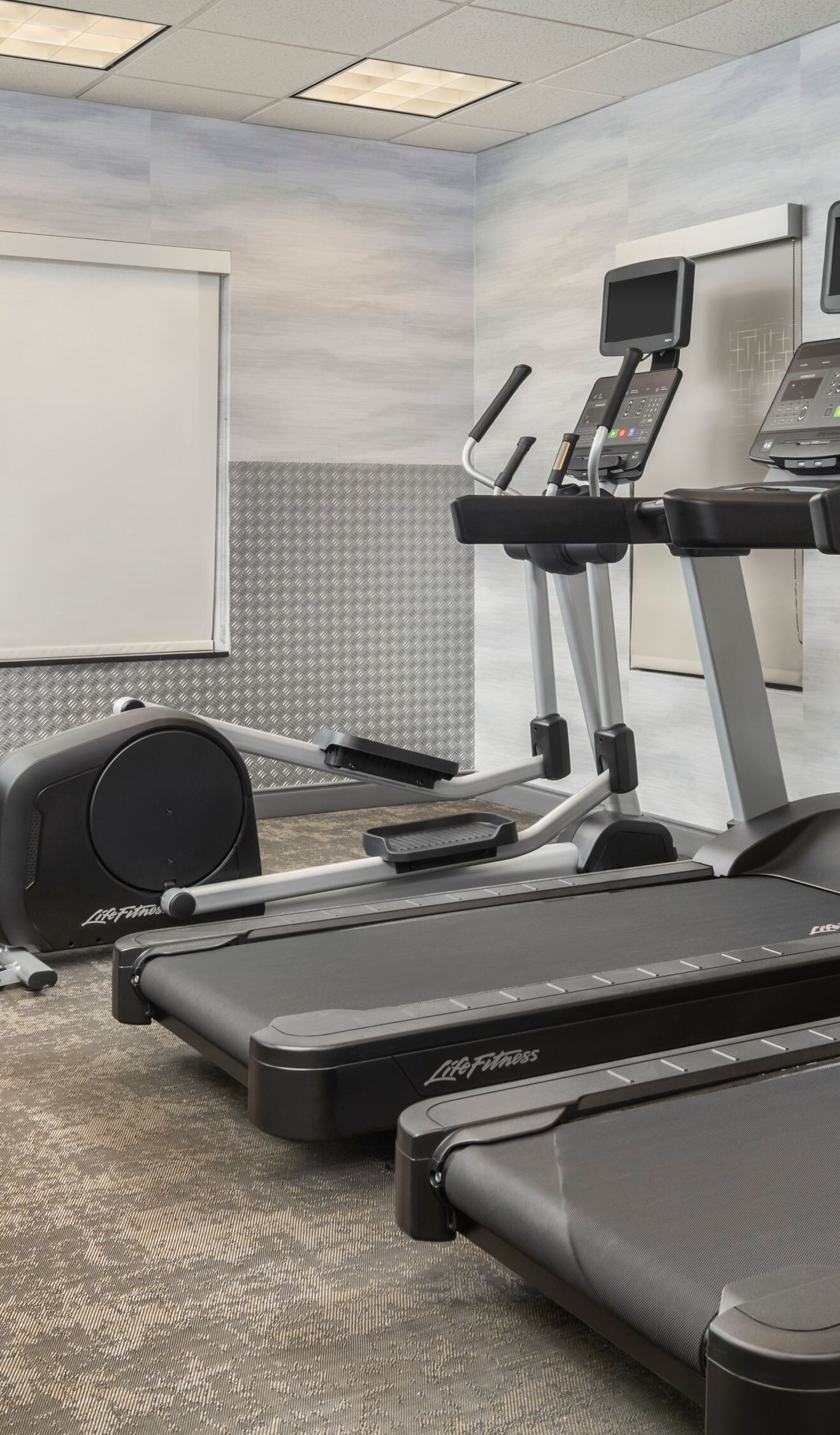 Fitness center with cardio machines and weights