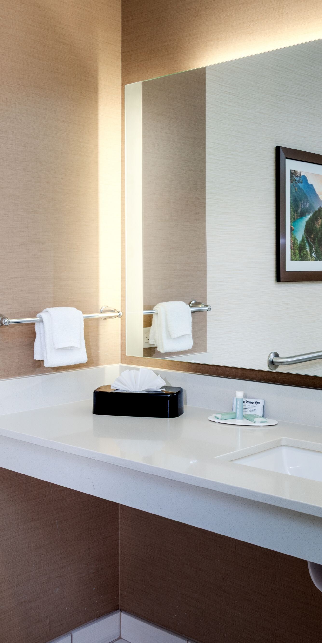 Accessible bathroom with vanity, sink, grab bars