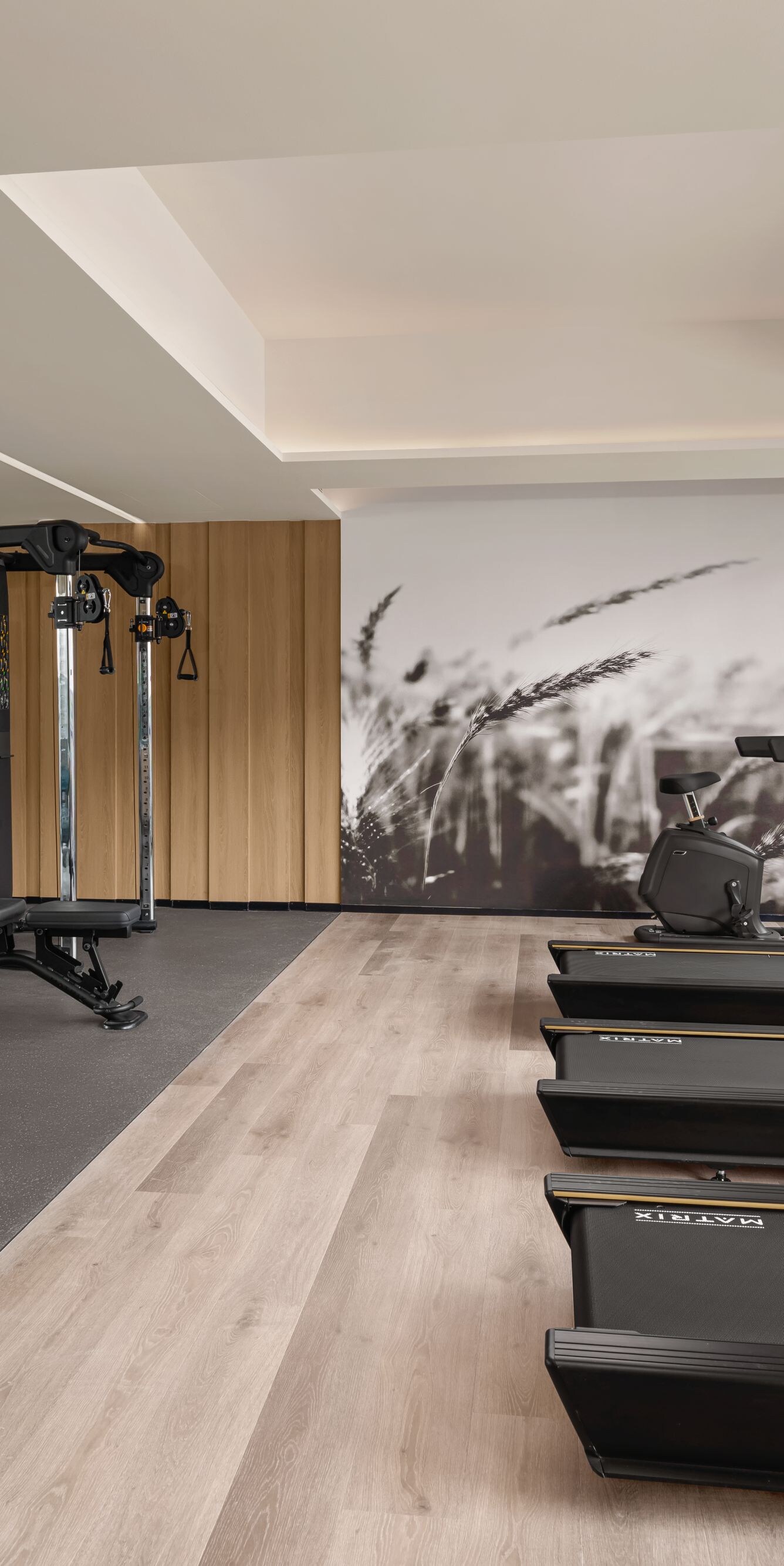 Gym with treadmills, weights, and cable machine