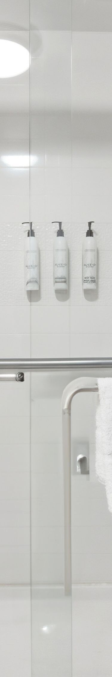 Accessible Shower