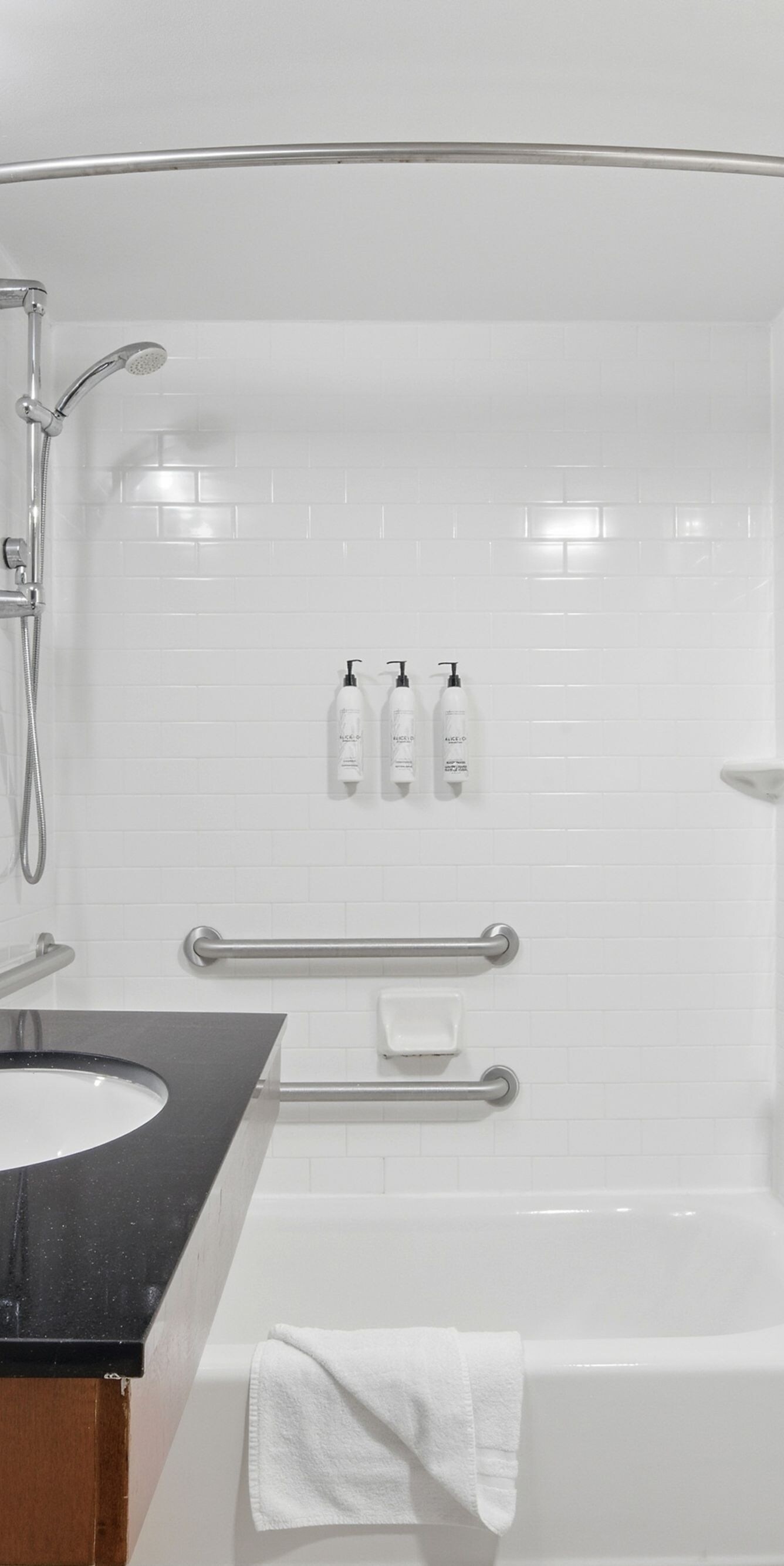 Accessible Tub and Sink