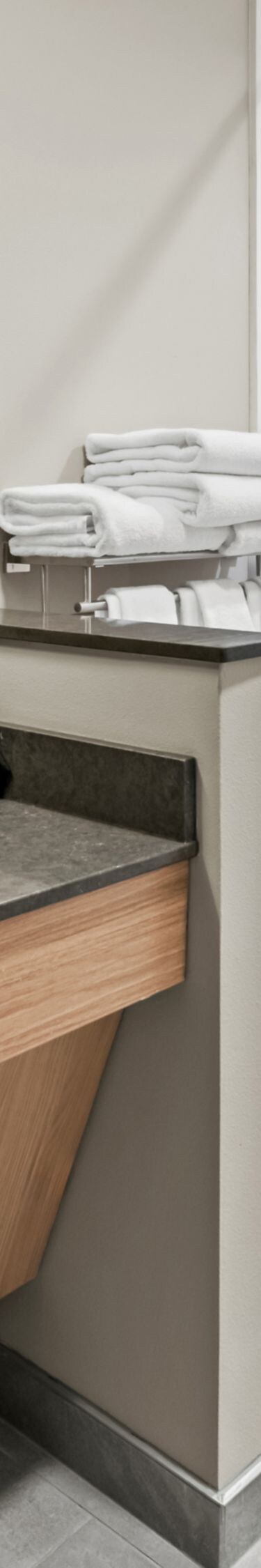 roll-in shower with grab bars, vanity