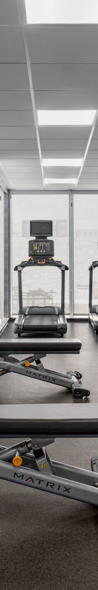 Fitness Center with free weights and machines.
