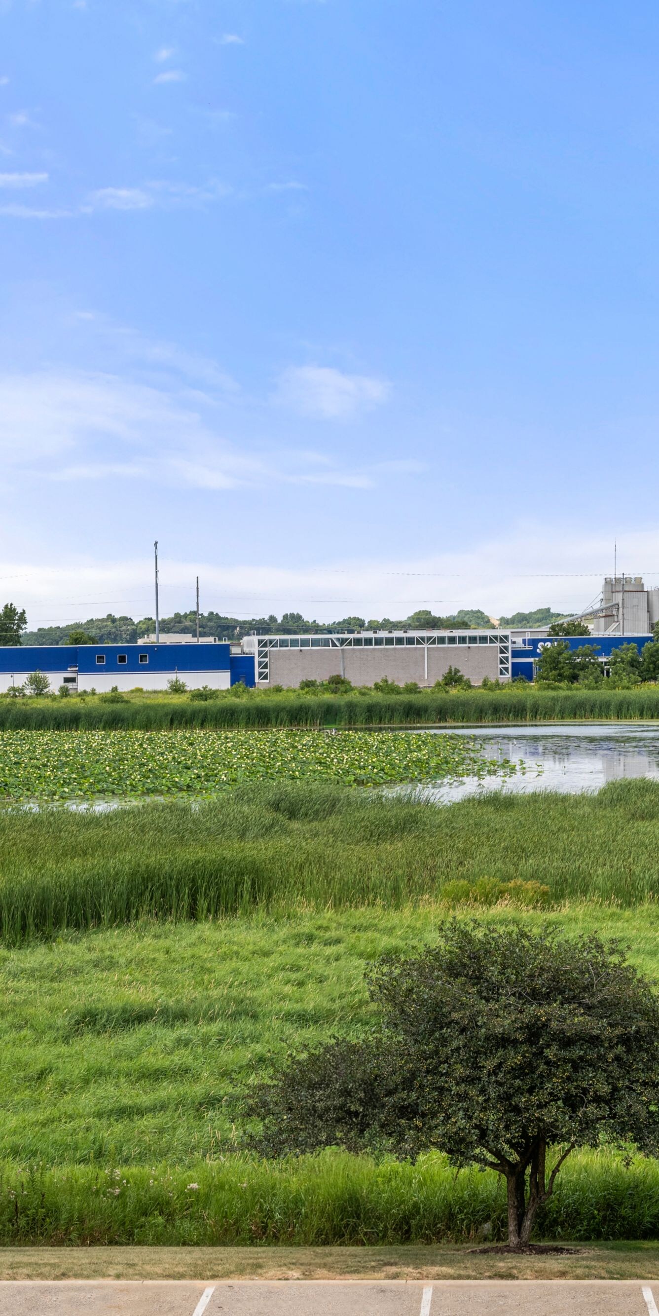 Scenic pond surrounded by trees and grassy pond