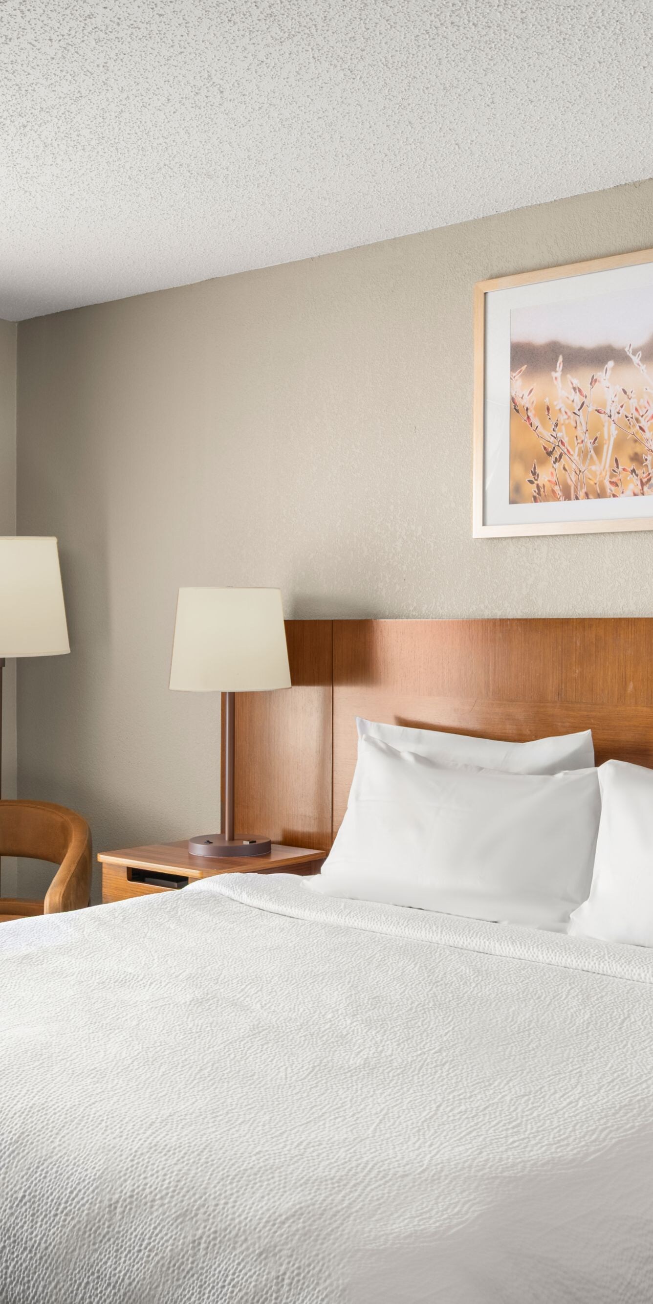 King bed with nightstands and reading lamps