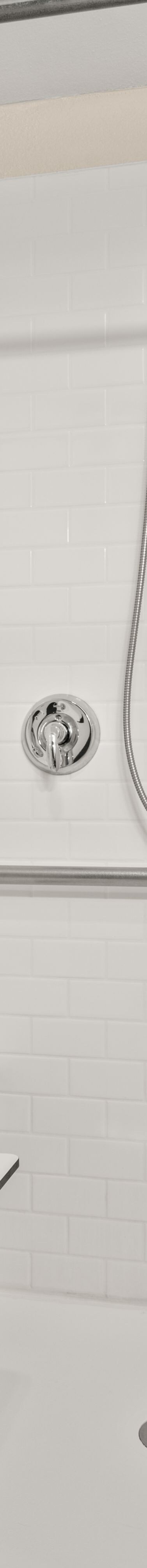 Roll In Shower