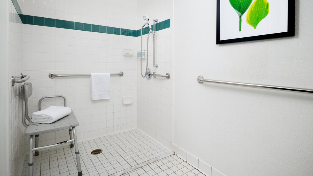 accessible bathroom roll-in shower