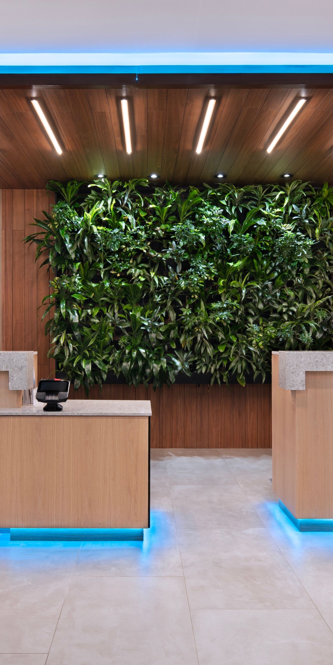 Reception desk with living wall and lighting