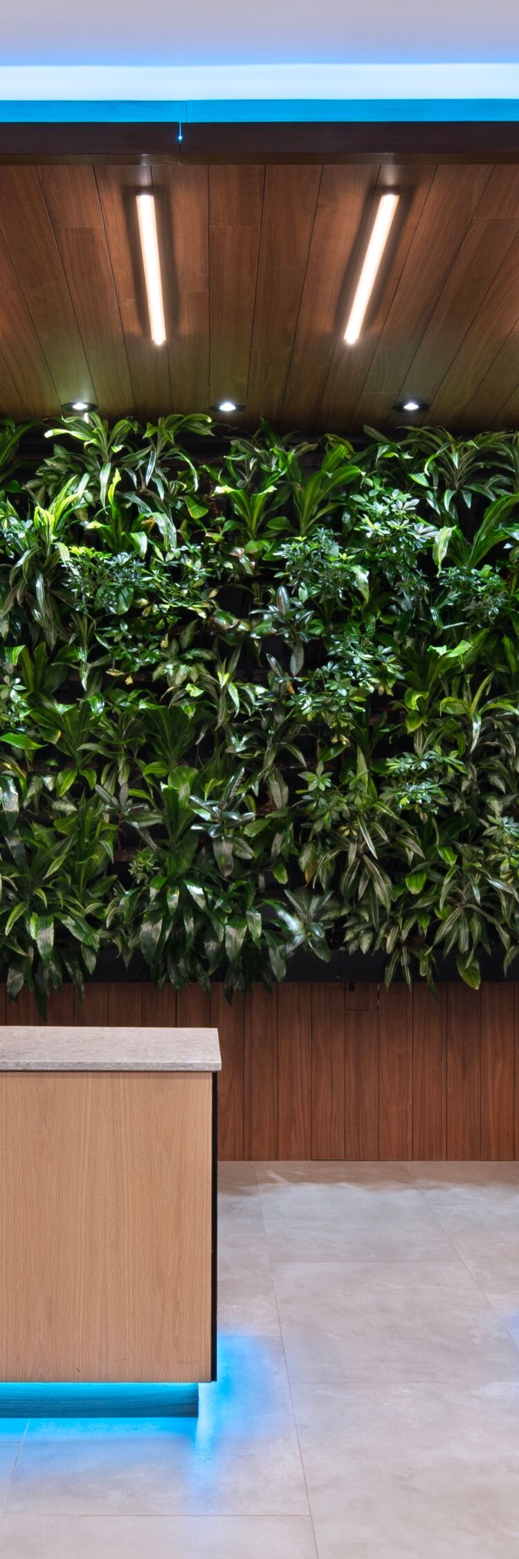 Reception desk with living wall and lighting