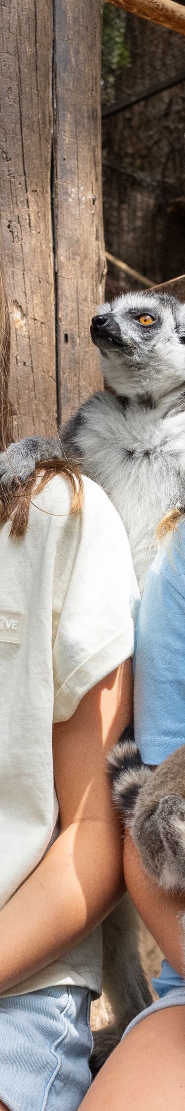 two children with lemurs