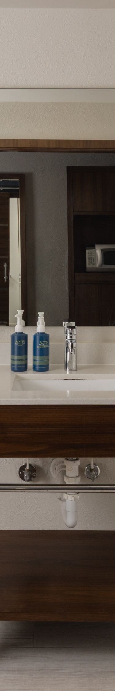 Guest room accessible bathroom with roll-in shower