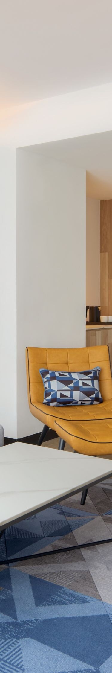 Suite living area with modern furniture