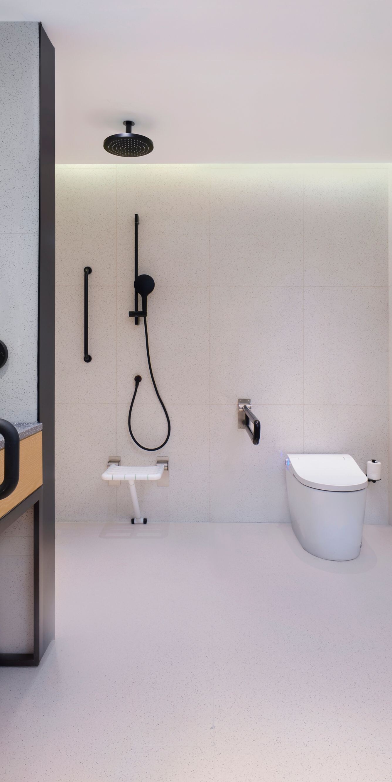 Accessible bathroom with roll-in shower and bars