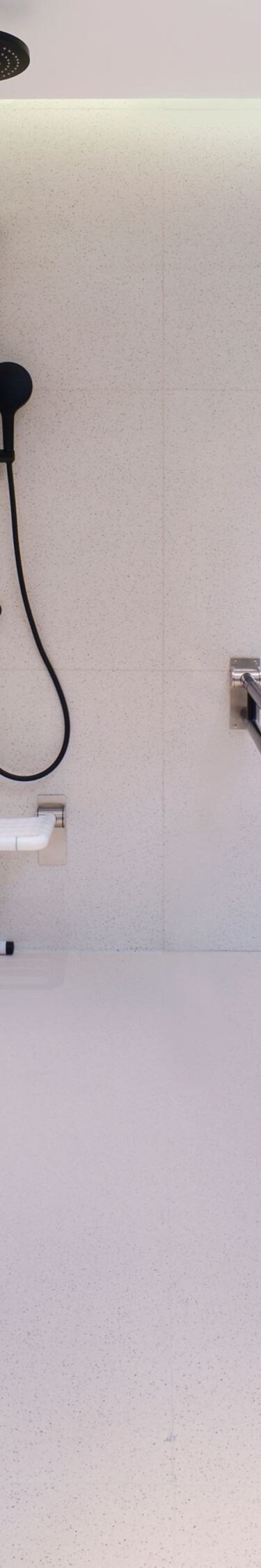 Accessible bathroom with roll-in shower and bars