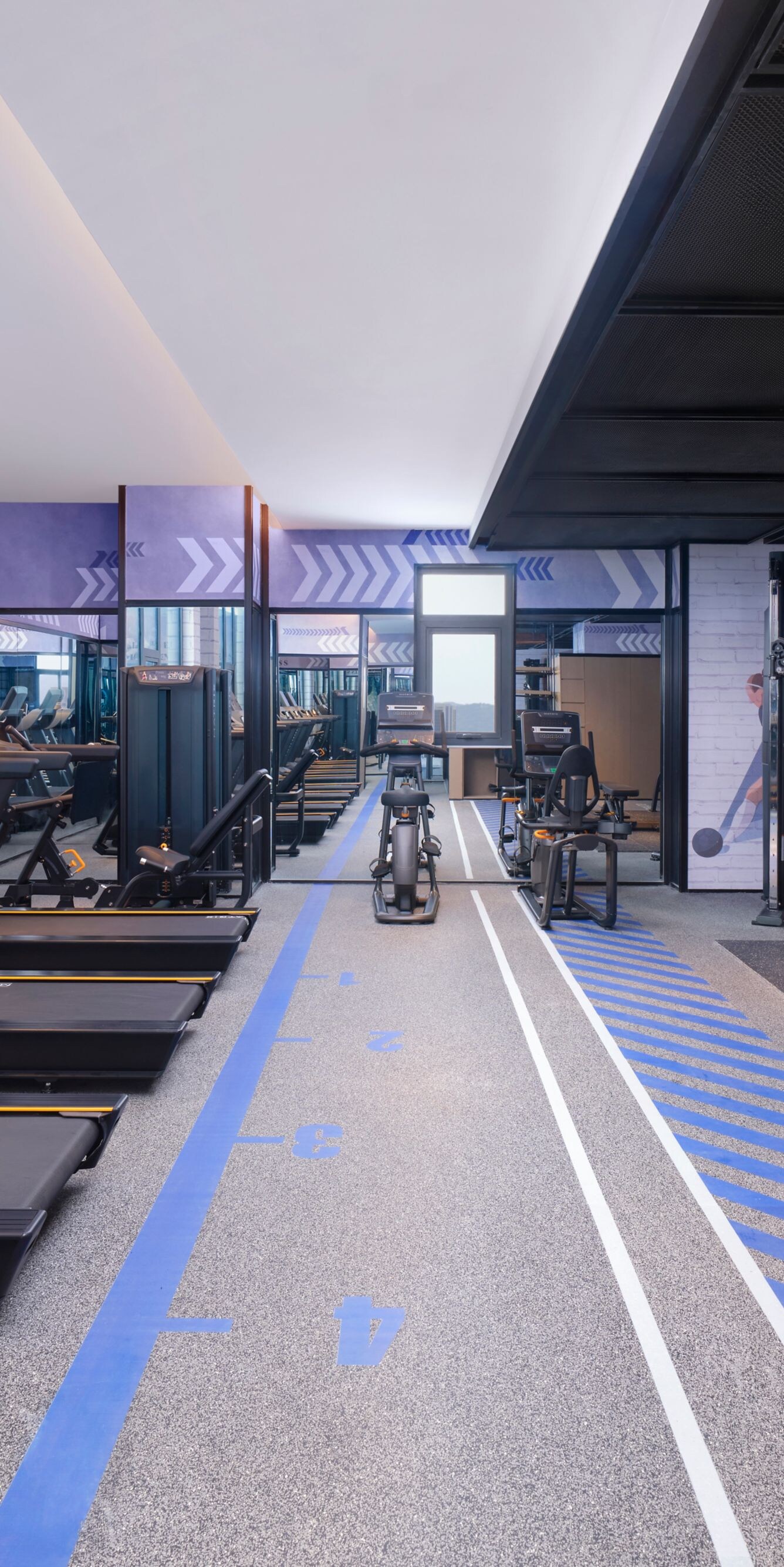 Modern hotel gym lined with treadmills, dumbbells 