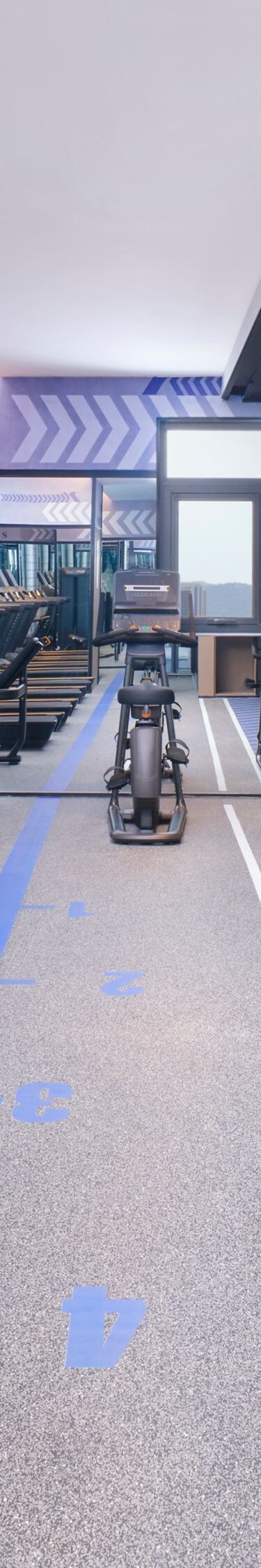 Modern hotel gym lined with treadmills, dumbbells 