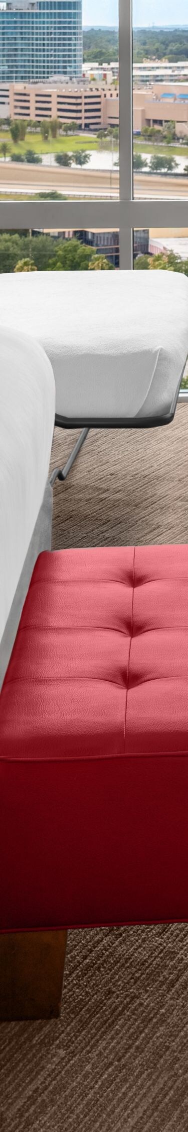 King Junior Suite with Sofabed 