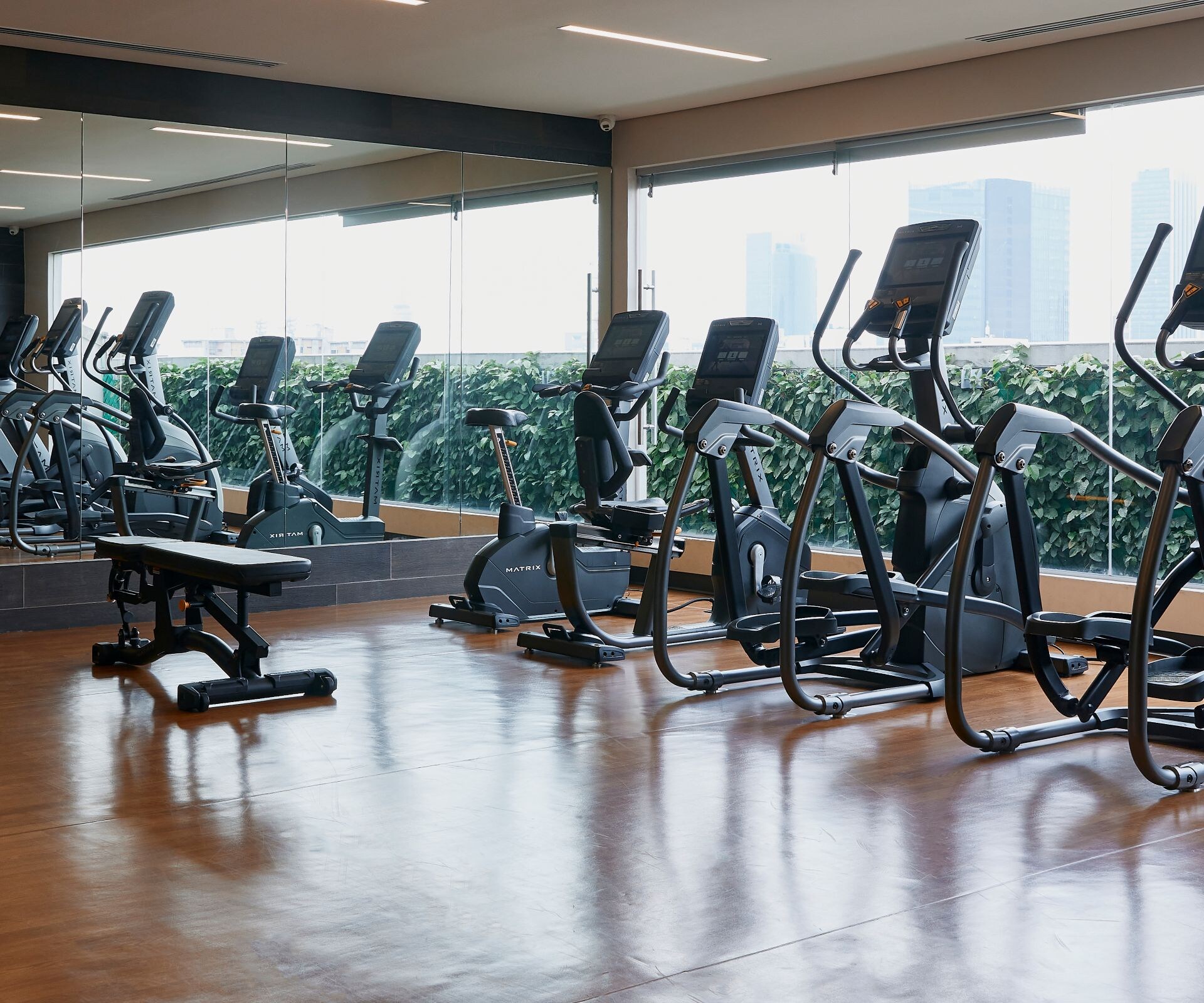 Cardio machines and free weights