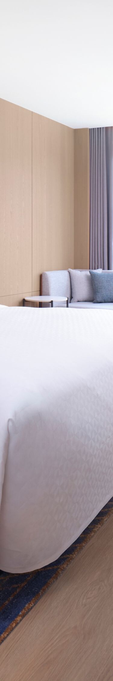 Guest Room, king bed