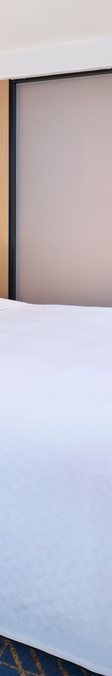 guest room, king bed