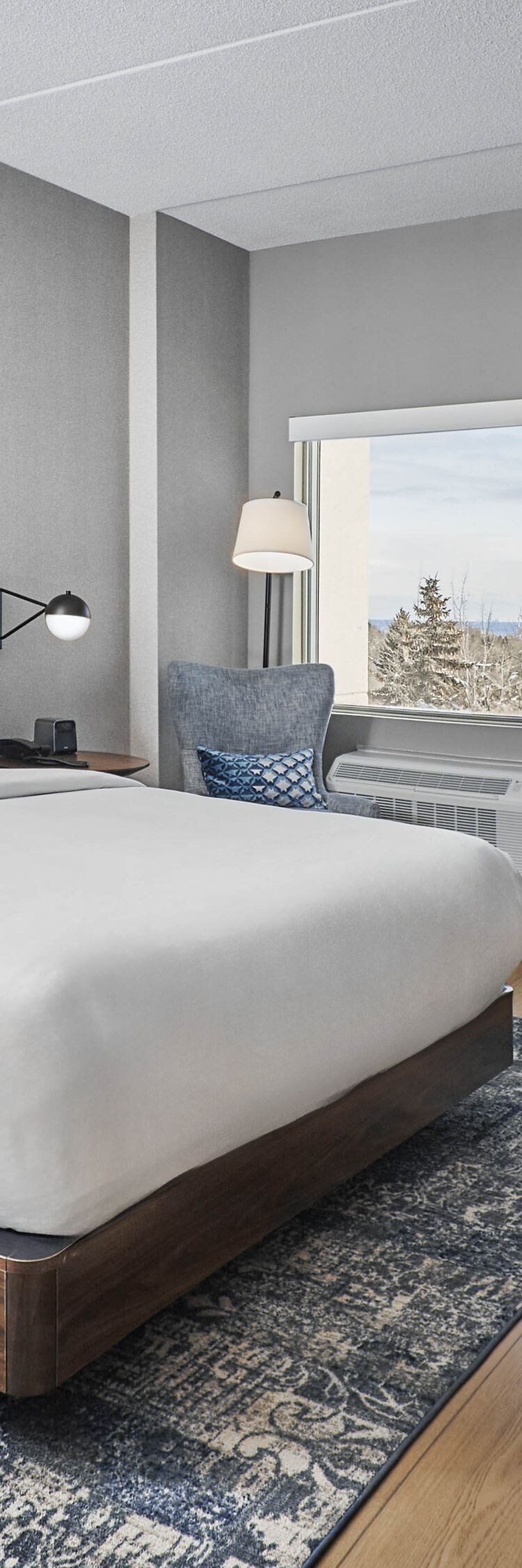 King bed, work station, TV and more amenities. 