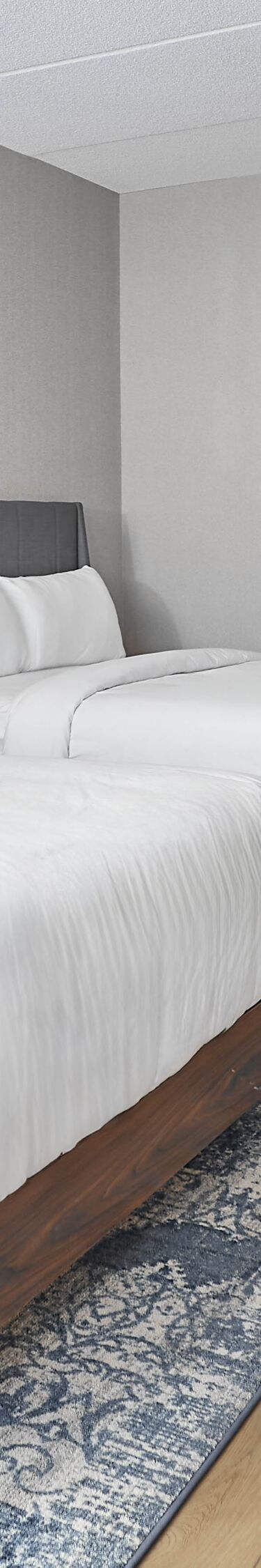 Two queen beds, work station, TV and amenities.