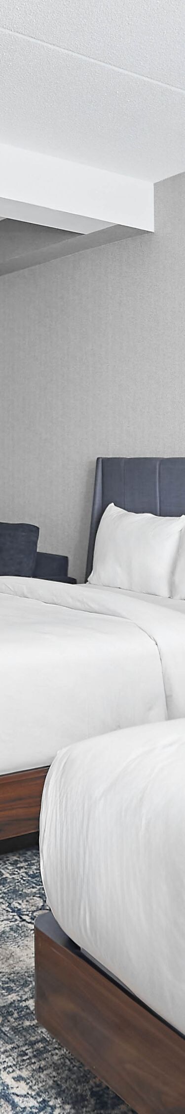 Two queen studio suite, TVs, sofa bed and more